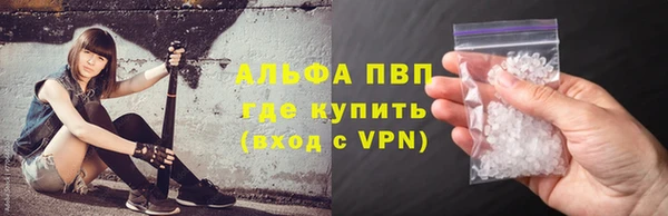 шишки Горняк