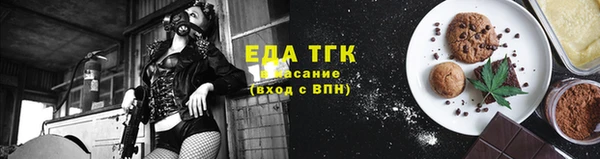 шишки Горняк