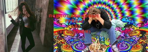 шишки Горняк