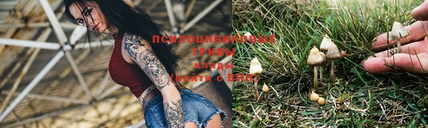 крисы Горнозаводск