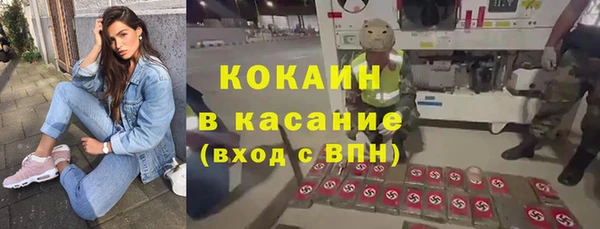 крисы Горнозаводск